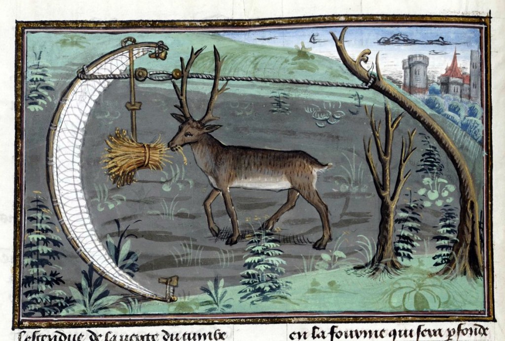 Trappola per cervo - Les Livres du roy Modus et de la royne Ratio (ms 10218-19 ) - 1455 - Bibliothèque royale de Belgique Bruxelles