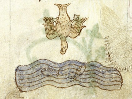 Falco pescatore a caccia